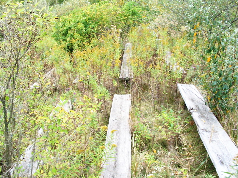 Thunder Road Speedway - Sept 2004 Photo (newer photo)